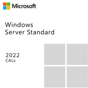 Windows Server Standard 2022 CALs