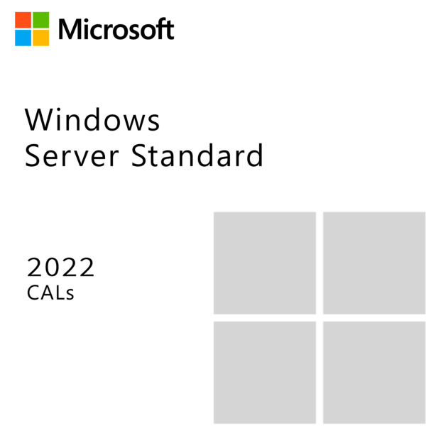 Windows Server Standard 2022 CALs